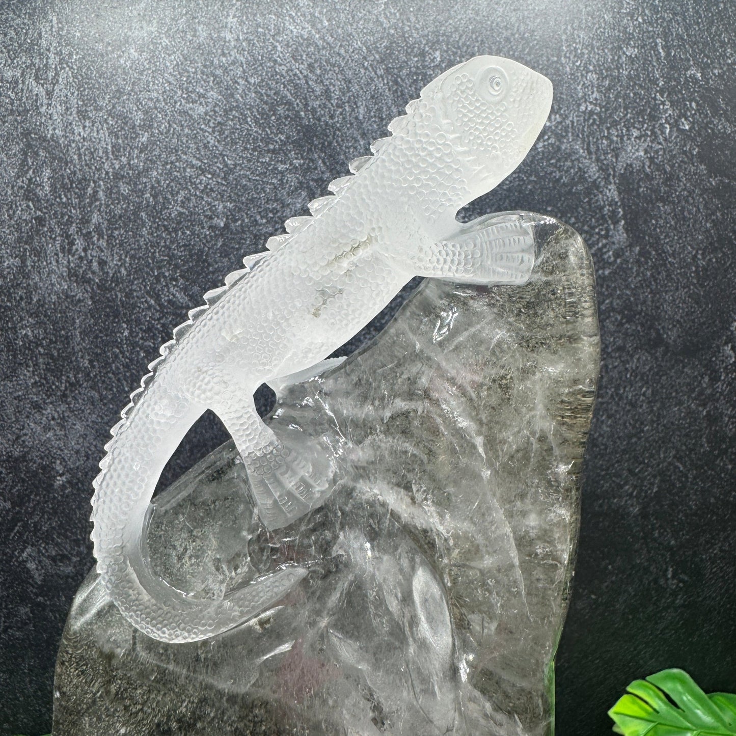 Garden Clear Quartz Lizard on Stand - Sage & Magic