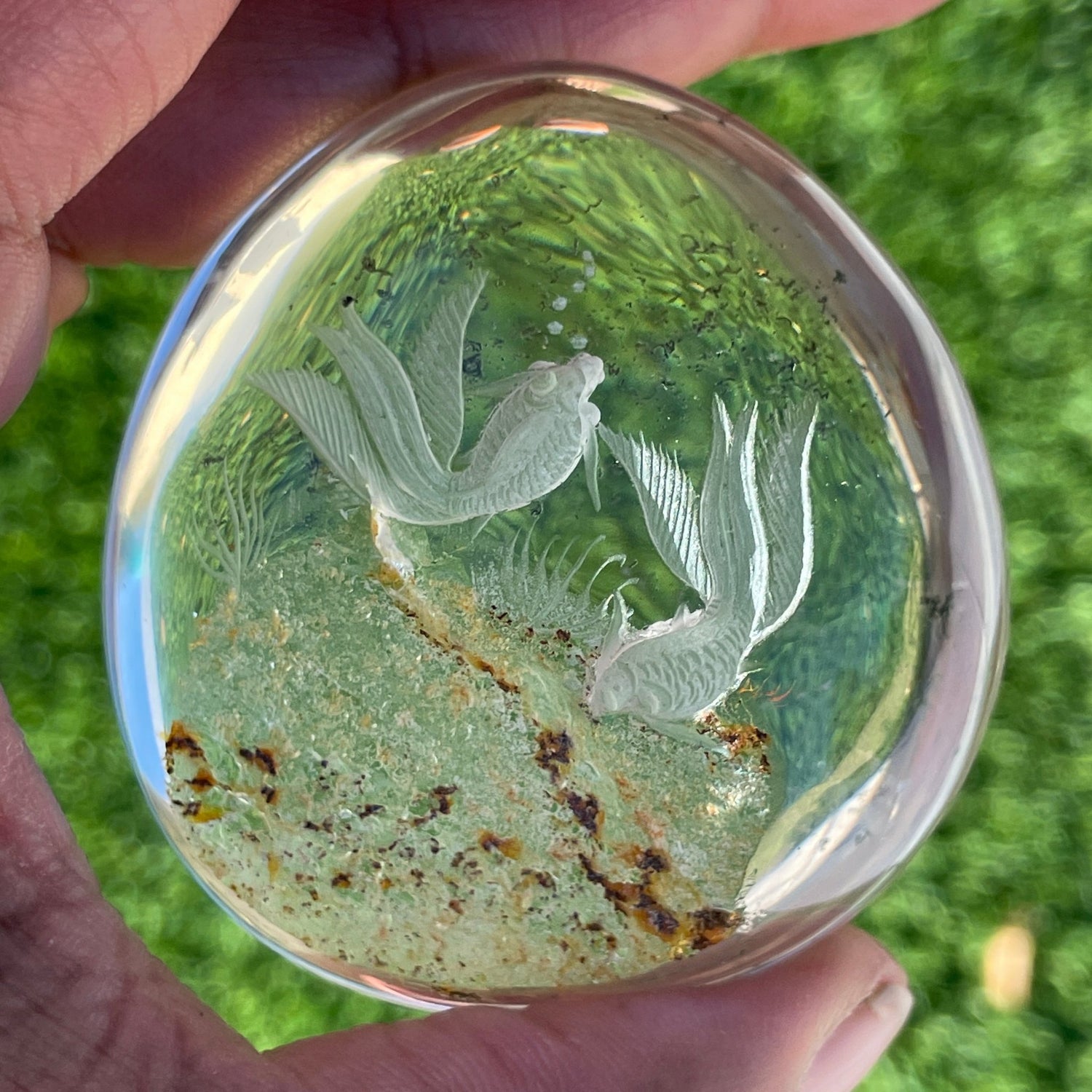 Garden Quartz & Chlorite Goldfish Palm Stone - Sage & Magic