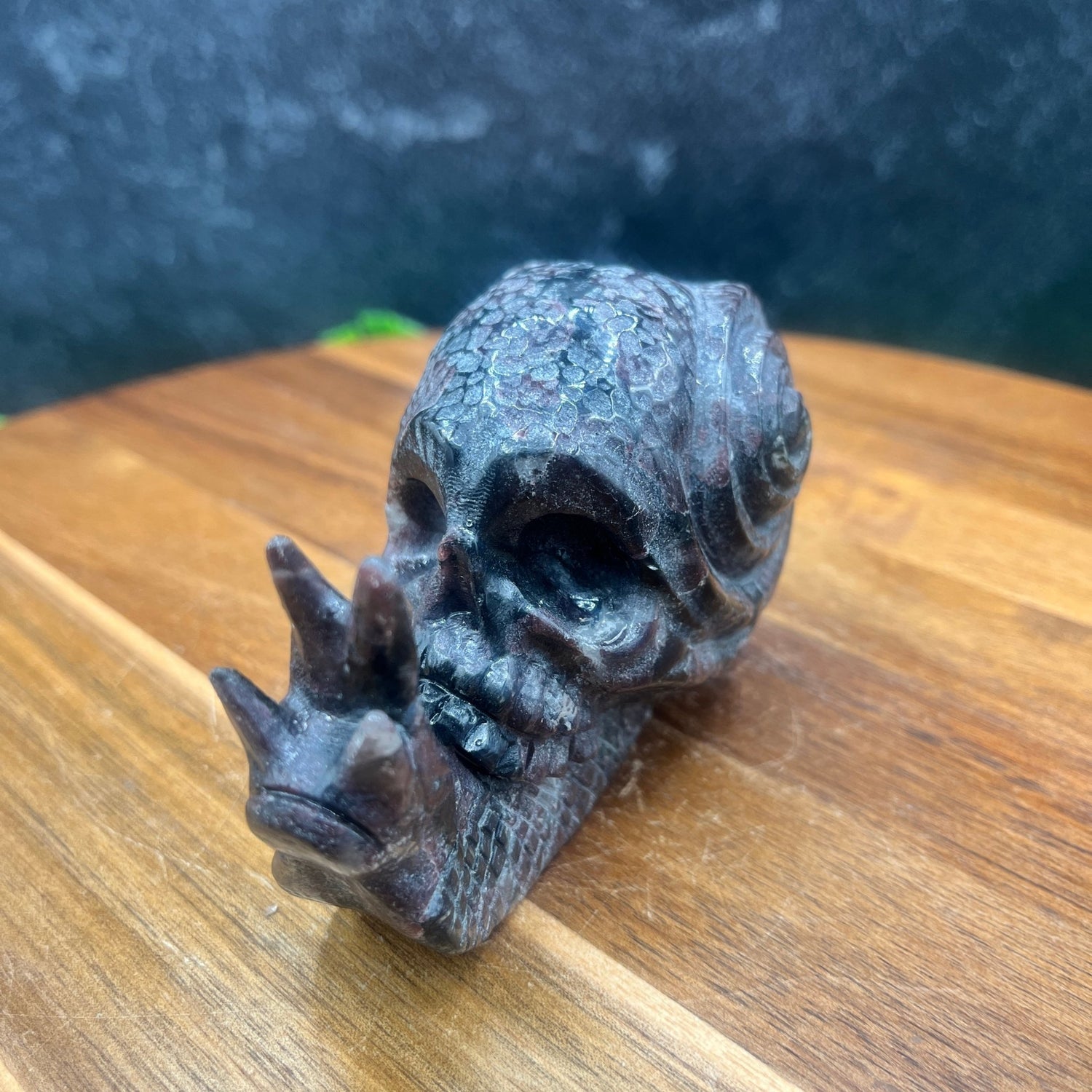 Garnet Skull Snail - Sage & Magic