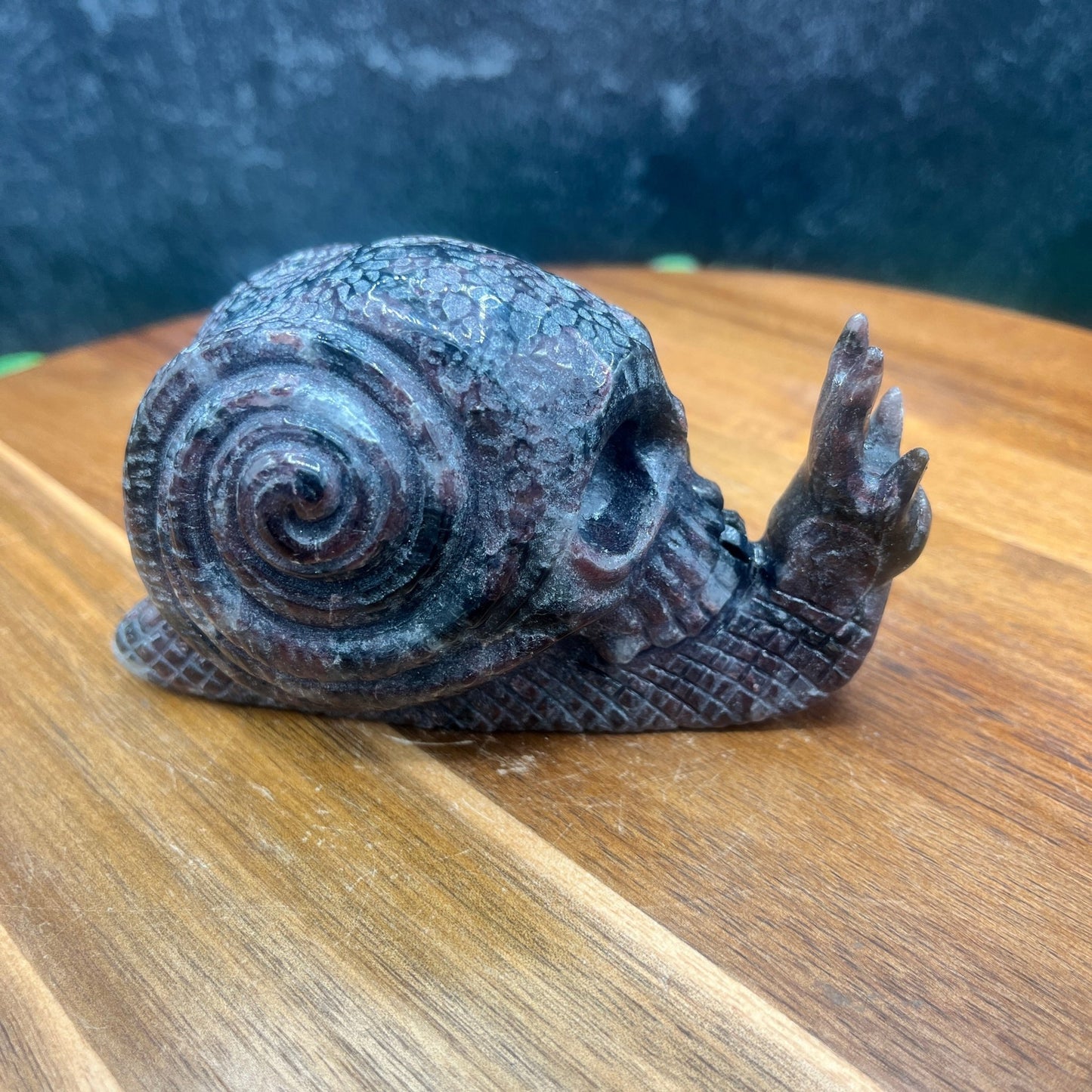 Garnet Skull Snail - Sage & Magic