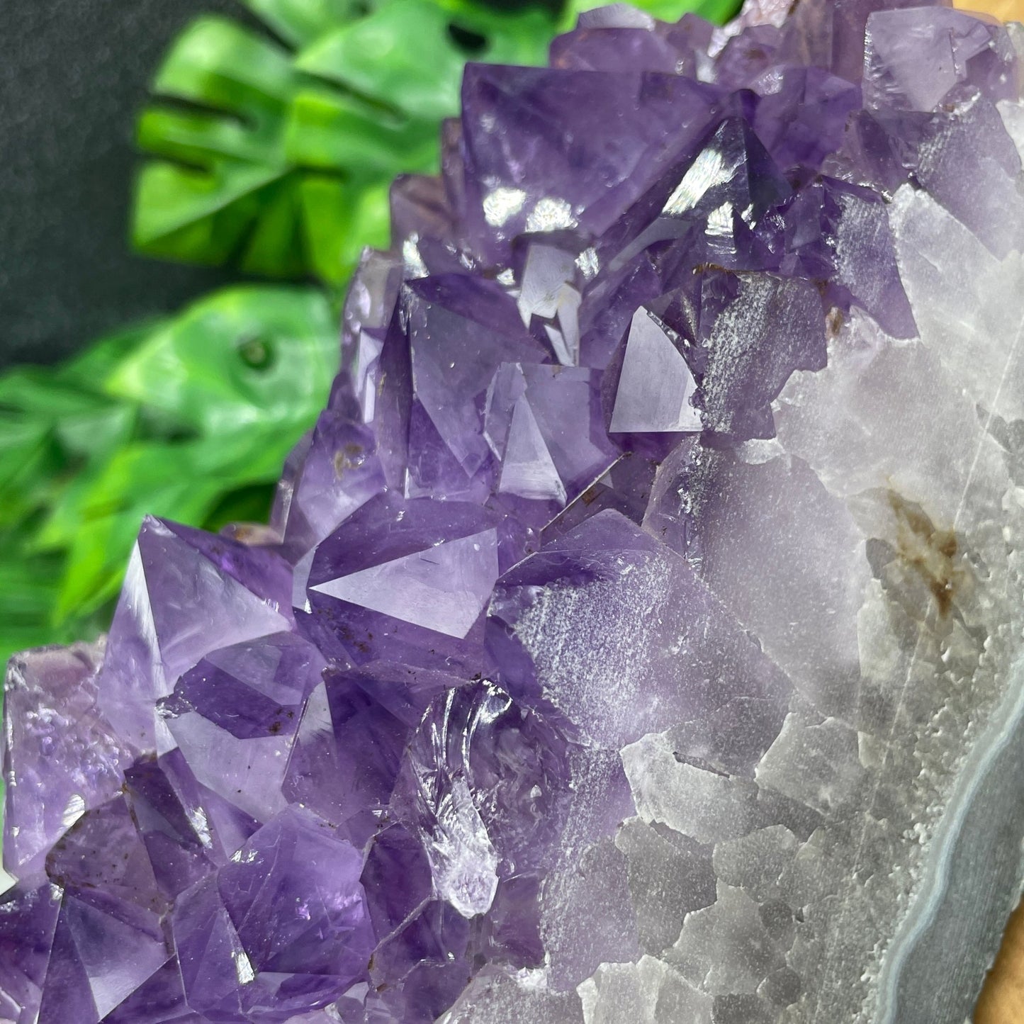 Gemmy Amethyst Cluster - Sage & Magic