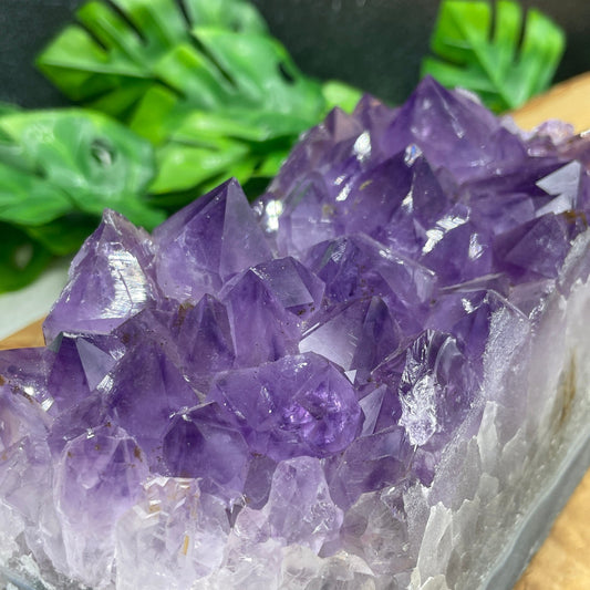 Gemmy Amethyst Cluster - Sage & Magic