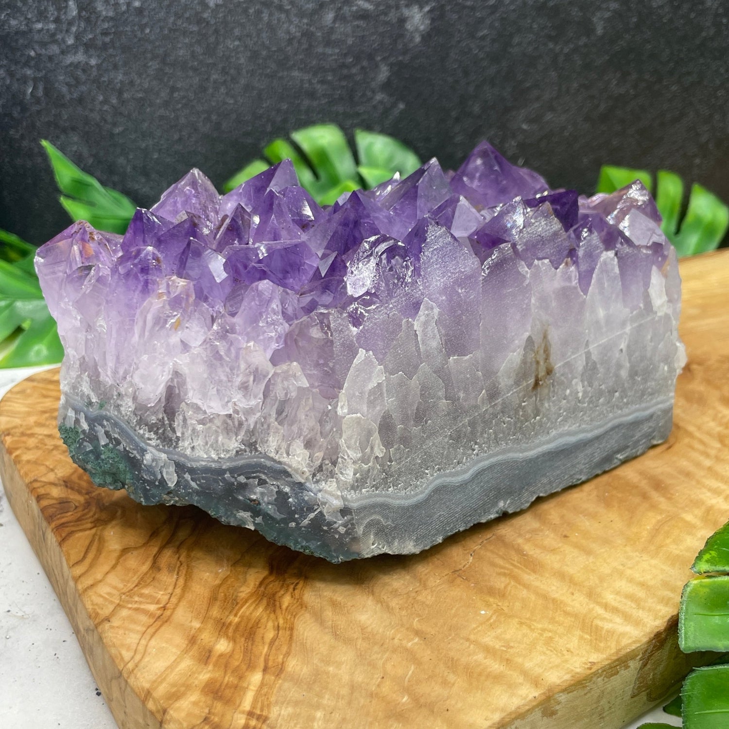 Gemmy Amethyst Cluster - Sage & Magic