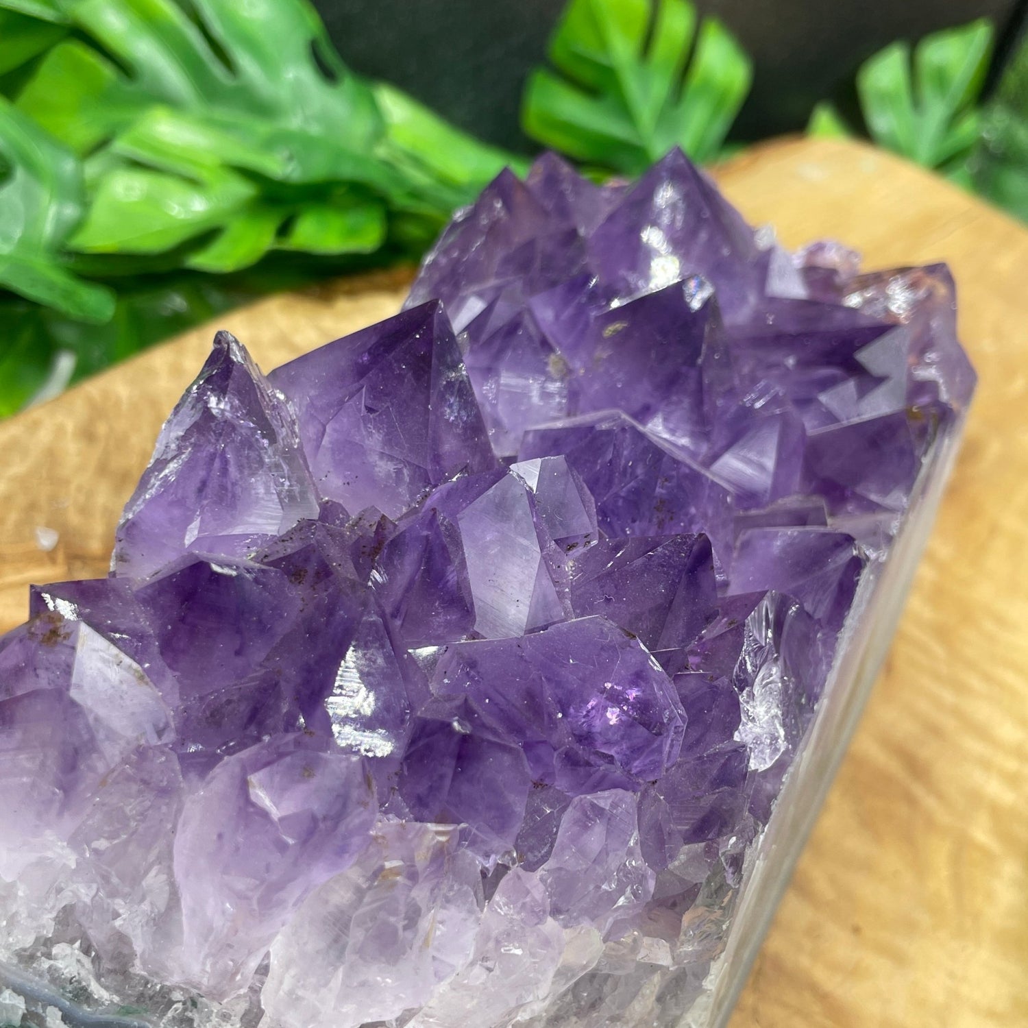 Gemmy Amethyst Cluster - Sage & Magic