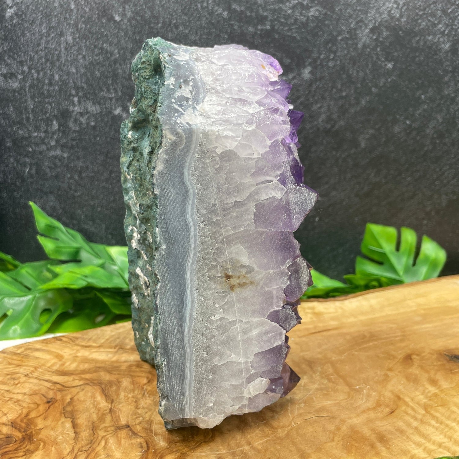 Gemmy Amethyst Cluster - Sage & Magic