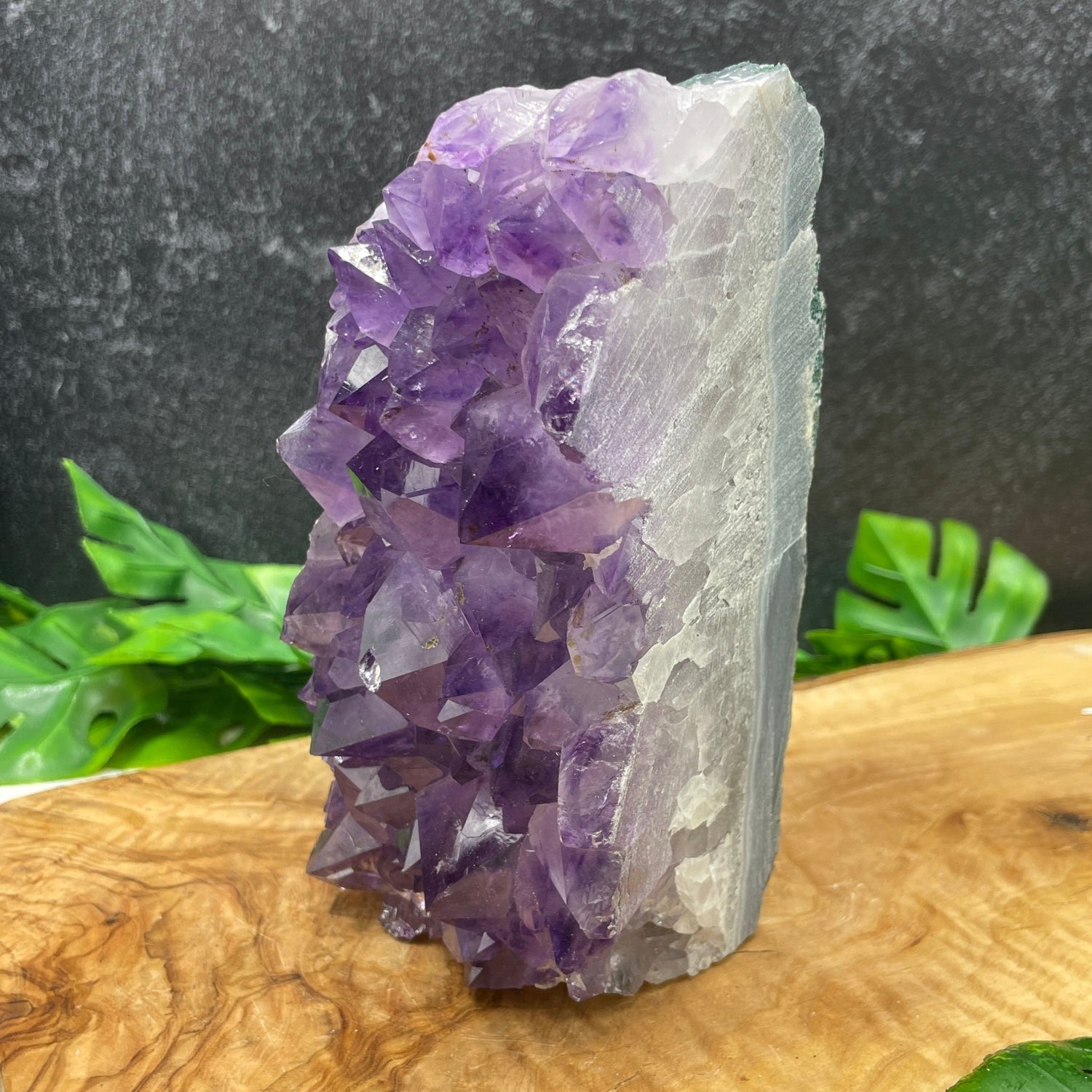 Gemmy Amethyst Cluster - Sage & Magic