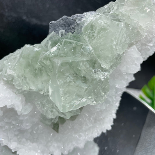 Glassy Green Cubic Fluorite on Quartz - Sage & Magic