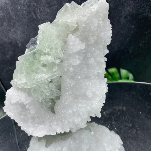 Glassy Green Cubic Fluorite on Quartz - Sage & Magic