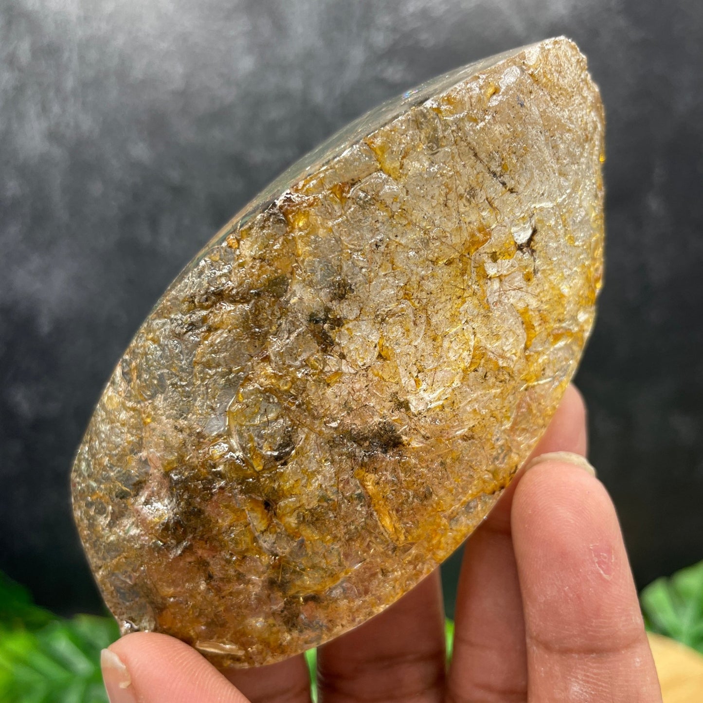 Gold Rutile in Clear Quartz Freeform - Sage & Magic