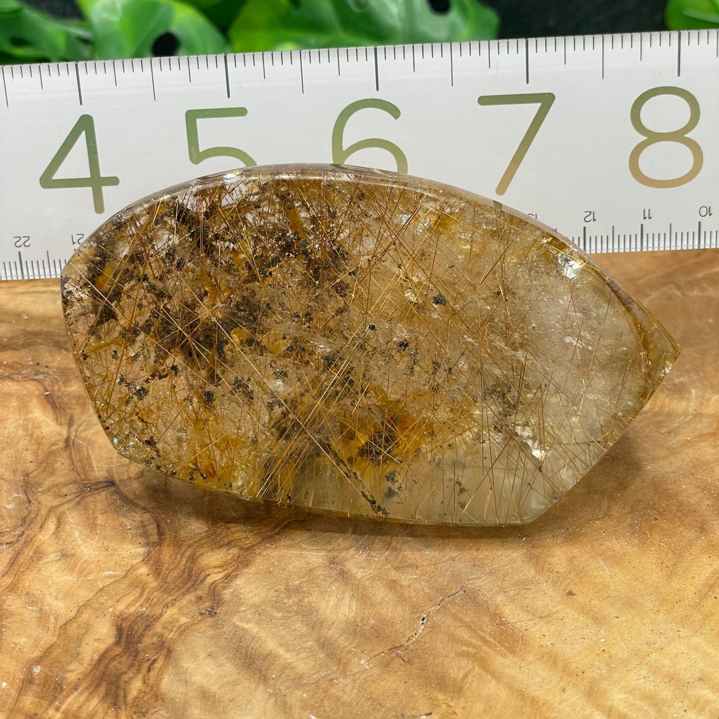 Gold Rutile in Clear Quartz Freeform - Sage & Magic