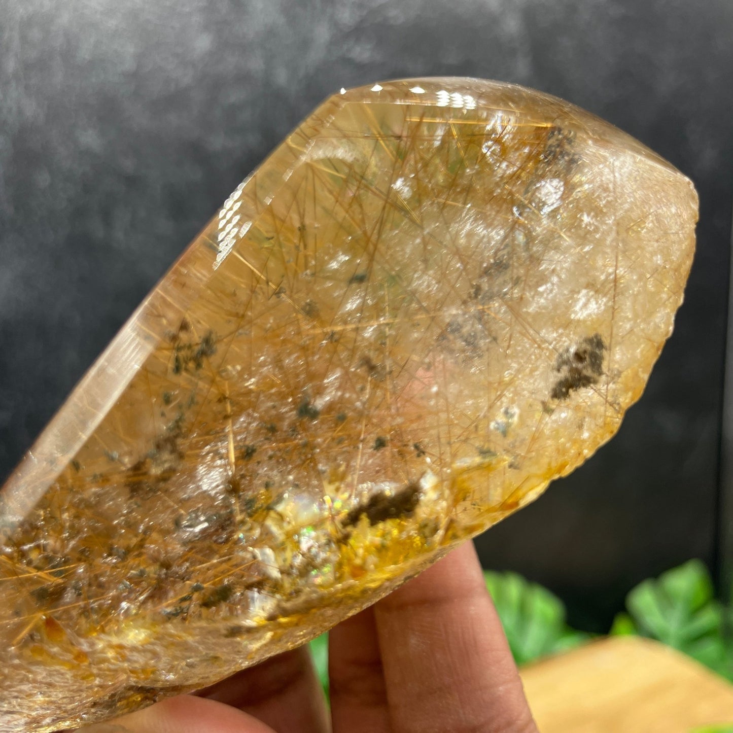 Gold Rutile in Clear Quartz Freeform - Sage & Magic