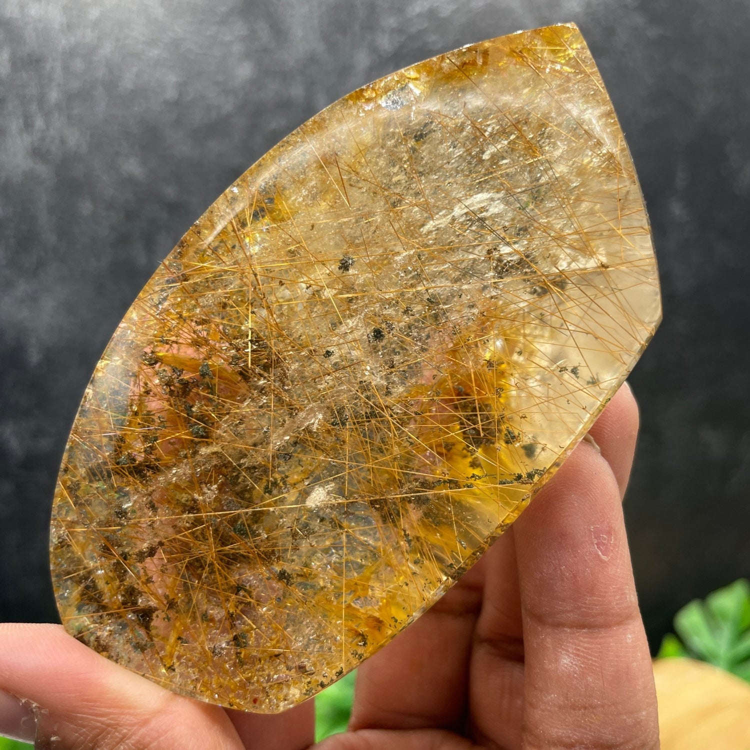 Gold Rutile in Clear Quartz Freeform - Sage & Magic