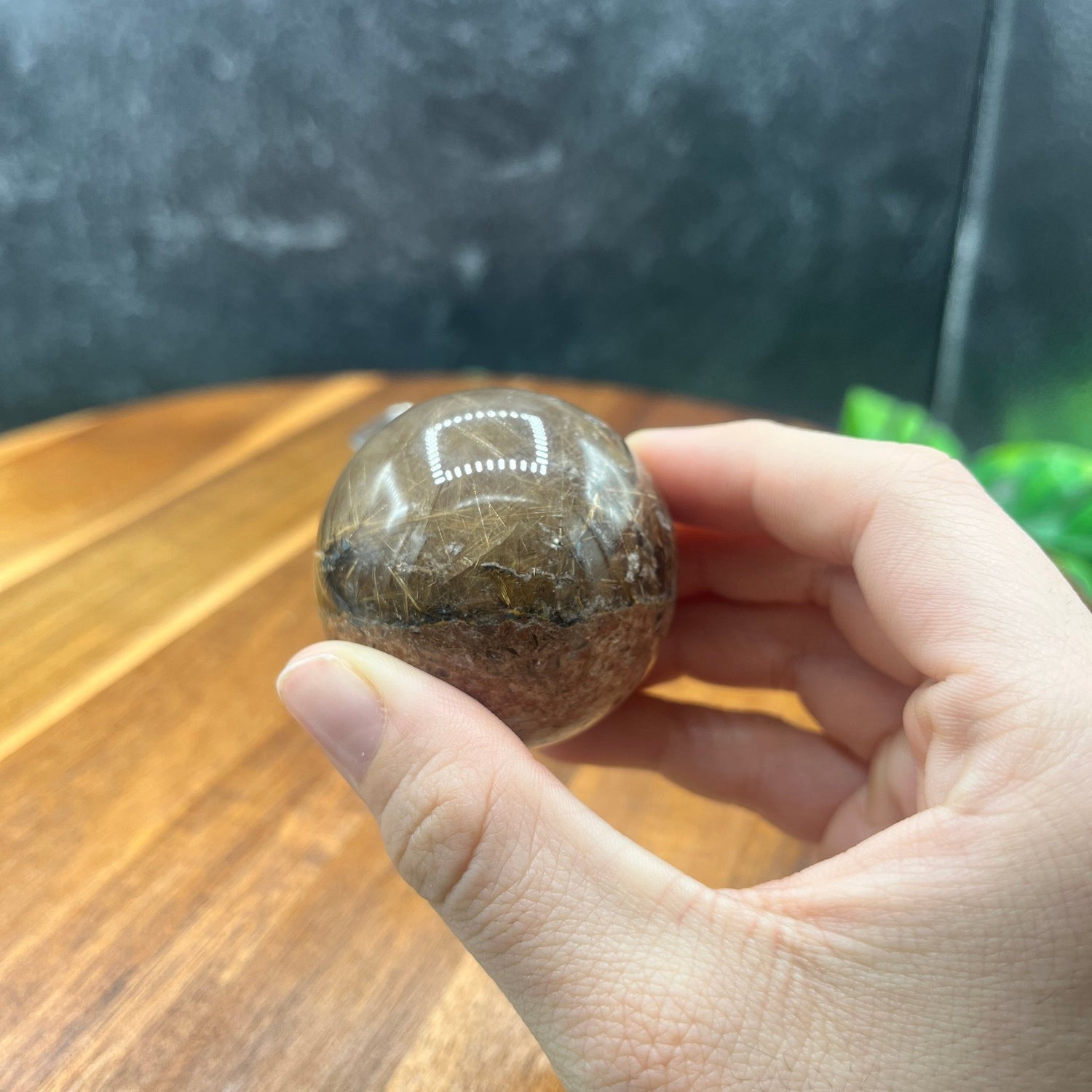 Gold Rutile in Garden on Scenic Quartz Sphere - Sage & Magic