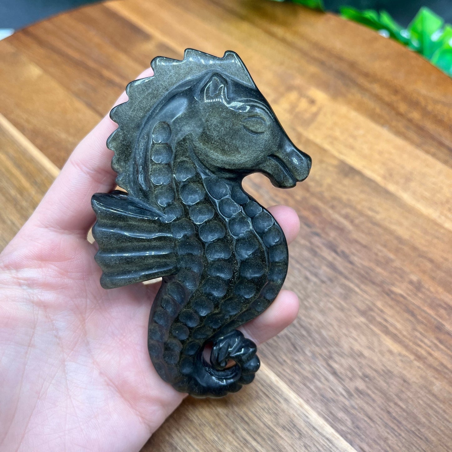 Gold Sheen Obsidian Seahorse - Sage & Magic