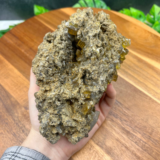 Golden Barite Specimen - Sage & Magic