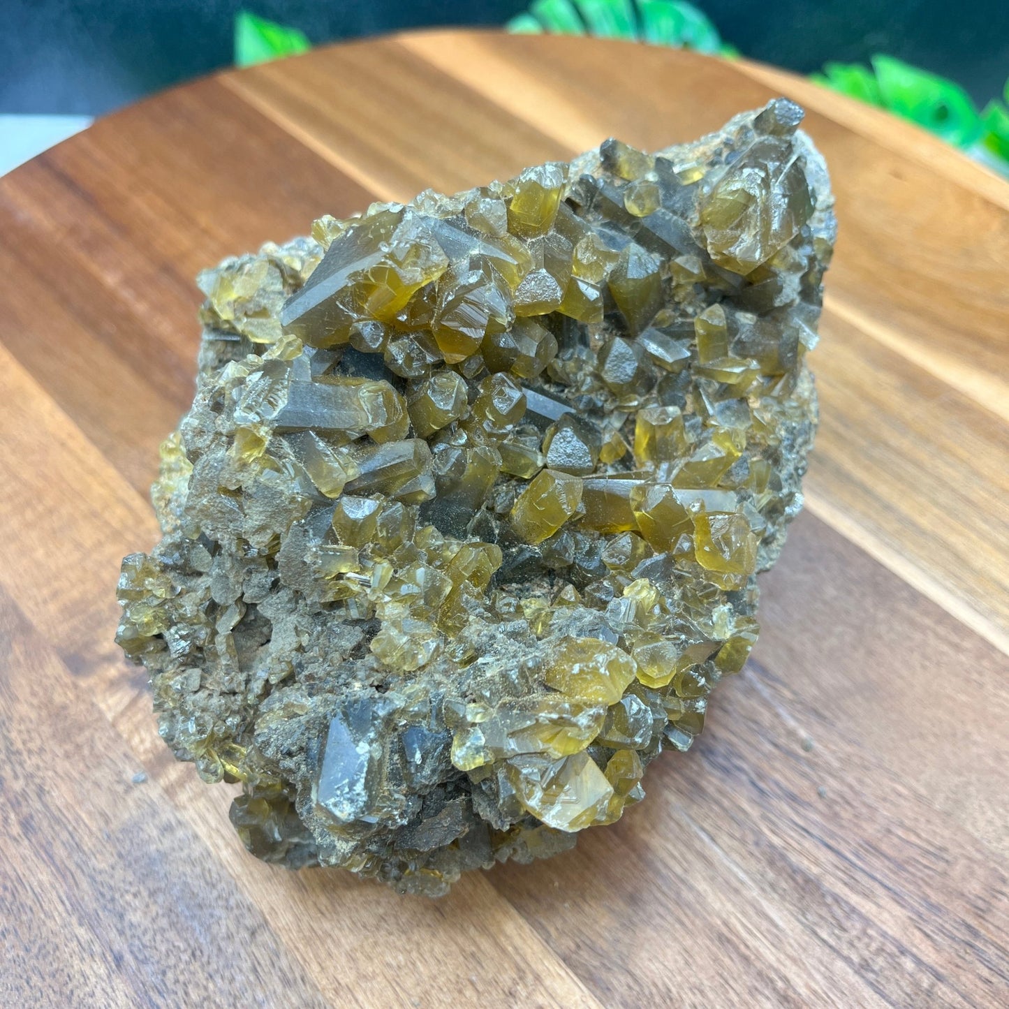 Golden Barite Specimen - Sage & Magic