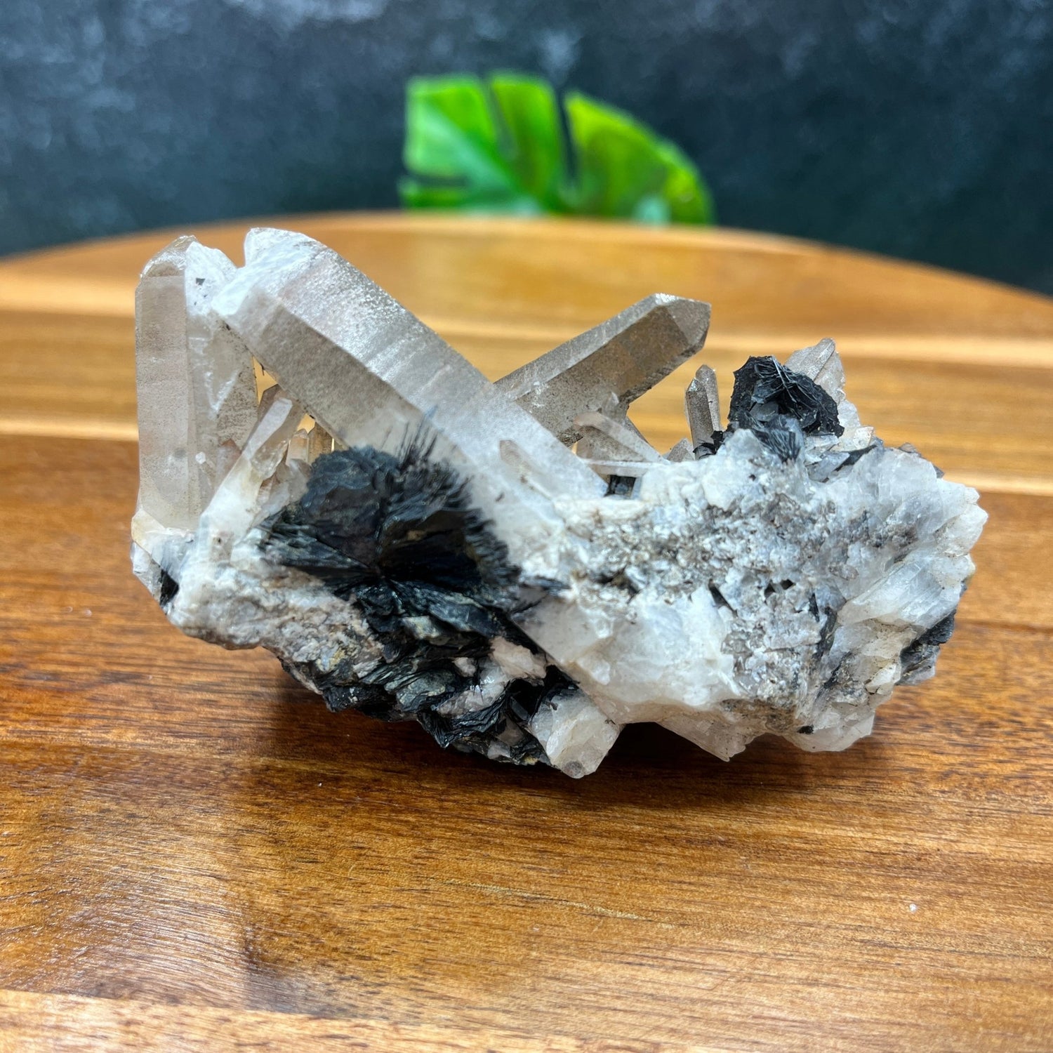 Hematite Roses on Quartz Cluster - Sage & Magic