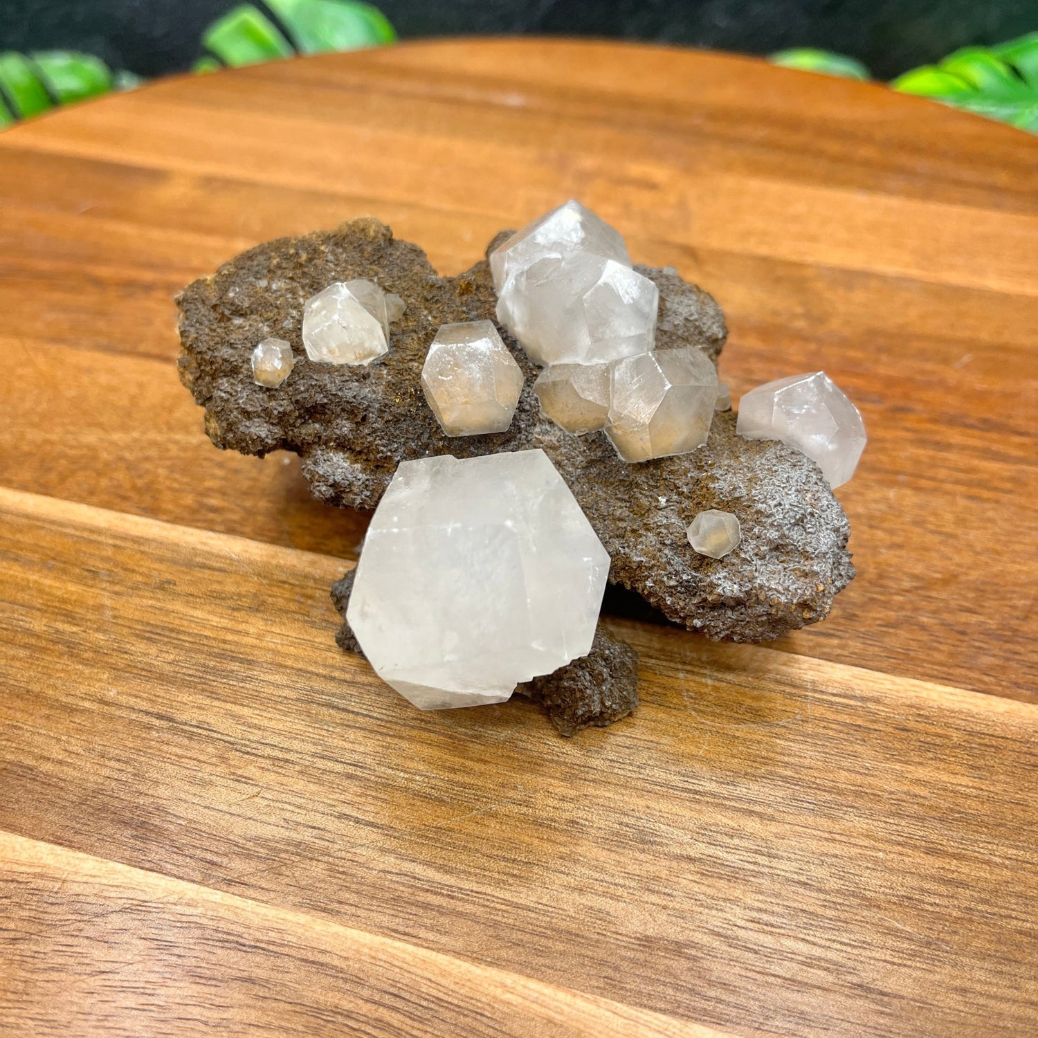 Hexagonal Calcite on Matrix - Sage & Magic