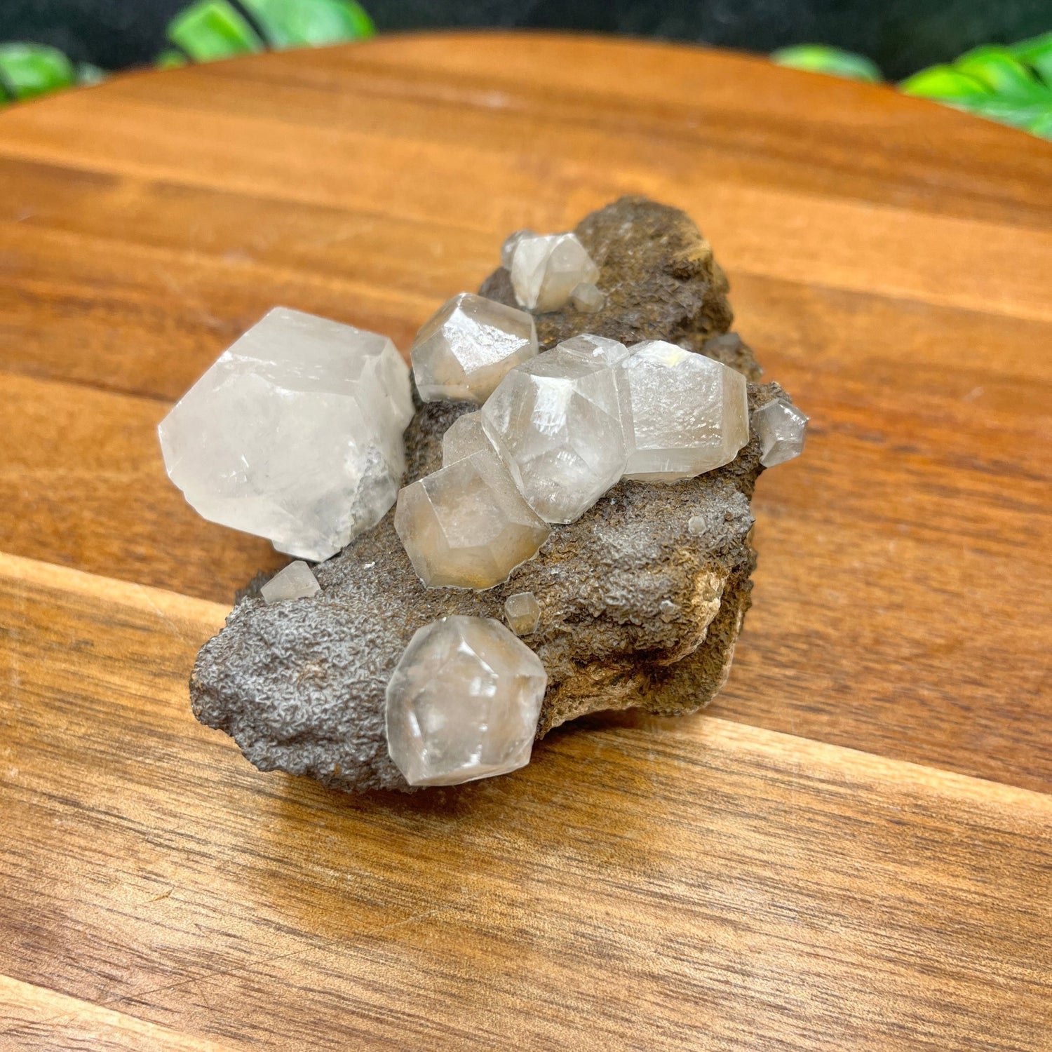 Hexagonal Calcite on Matrix - Sage & Magic