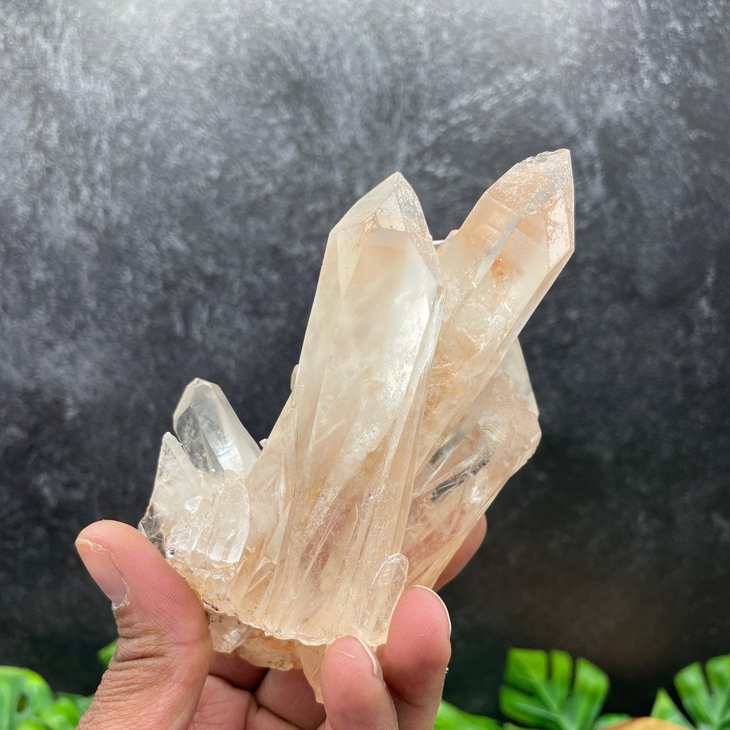 Himalayan Quartz Cluster with Stand - Sage & Magic