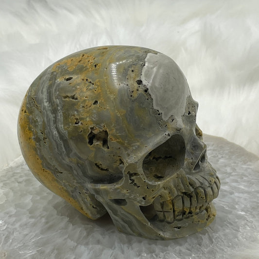 Hollowed Out Bumblebee Jasper Skull - Sage & Magic