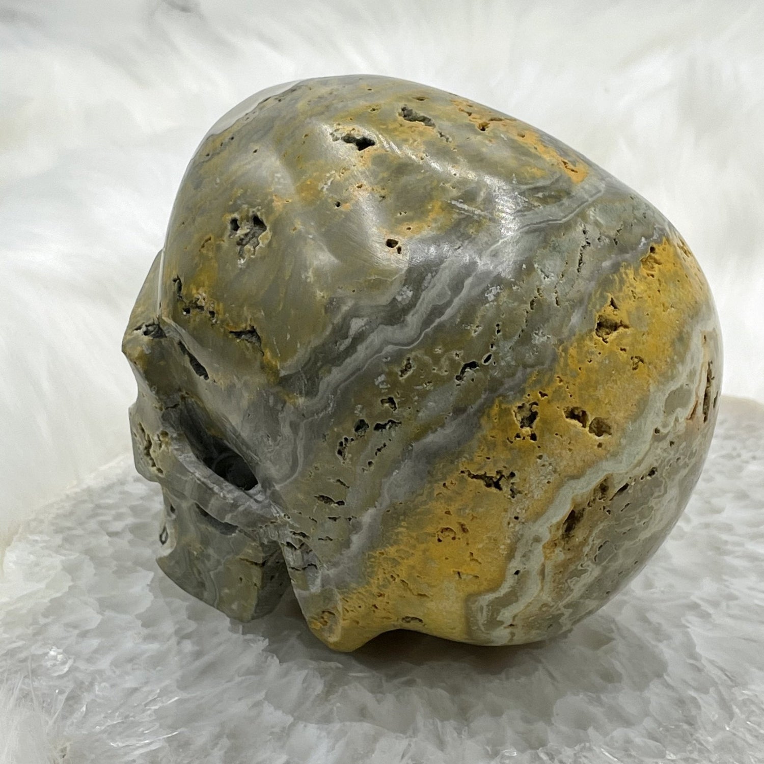 Hollowed Out Bumblebee Jasper Skull - Sage & Magic