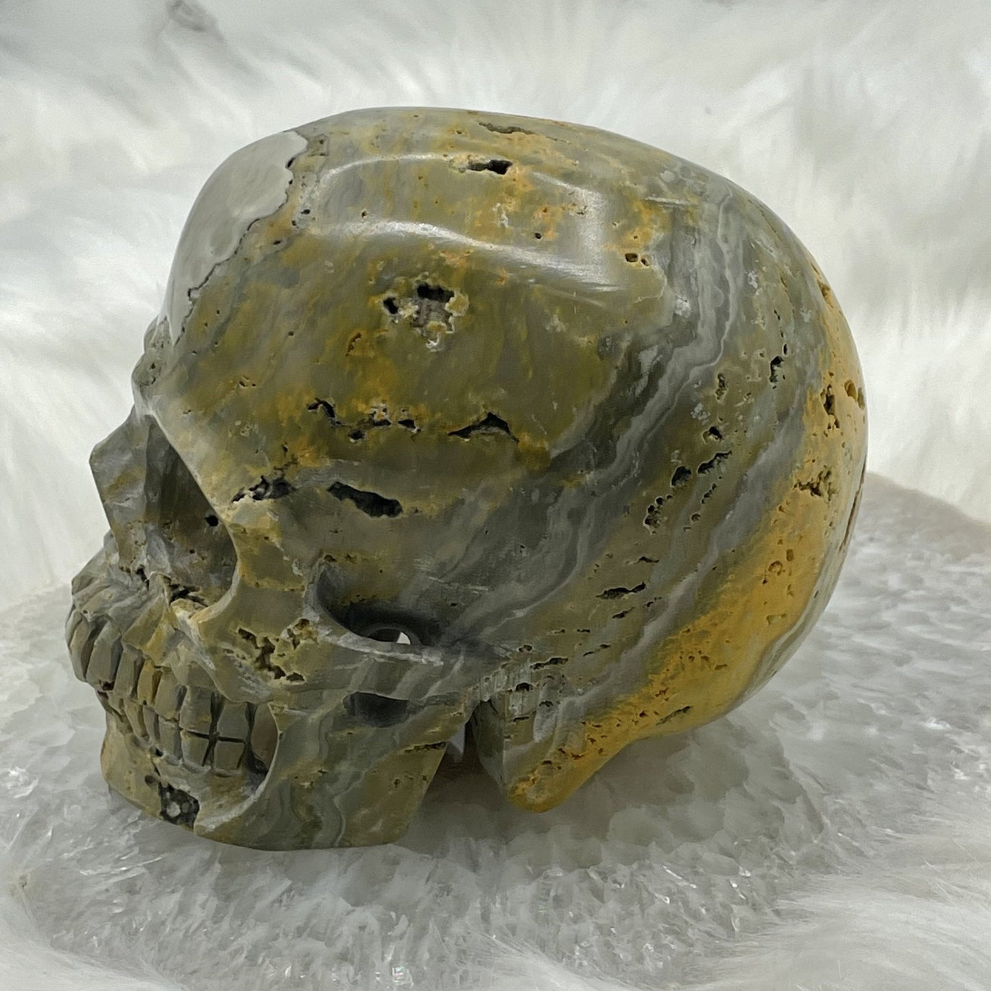 Hollowed Out Bumblebee Jasper Skull - Sage & Magic