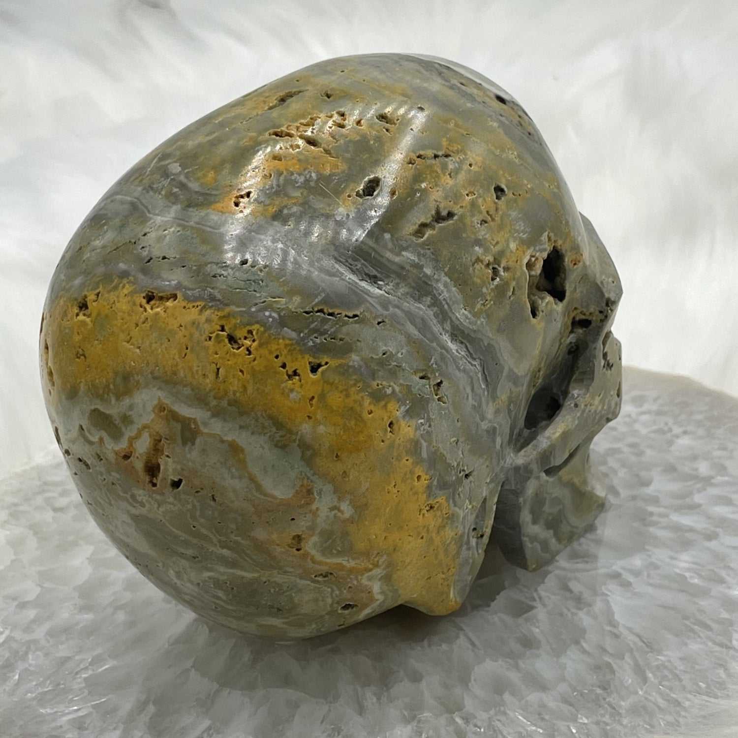 Hollowed Out Bumblebee Jasper Skull - Sage & Magic