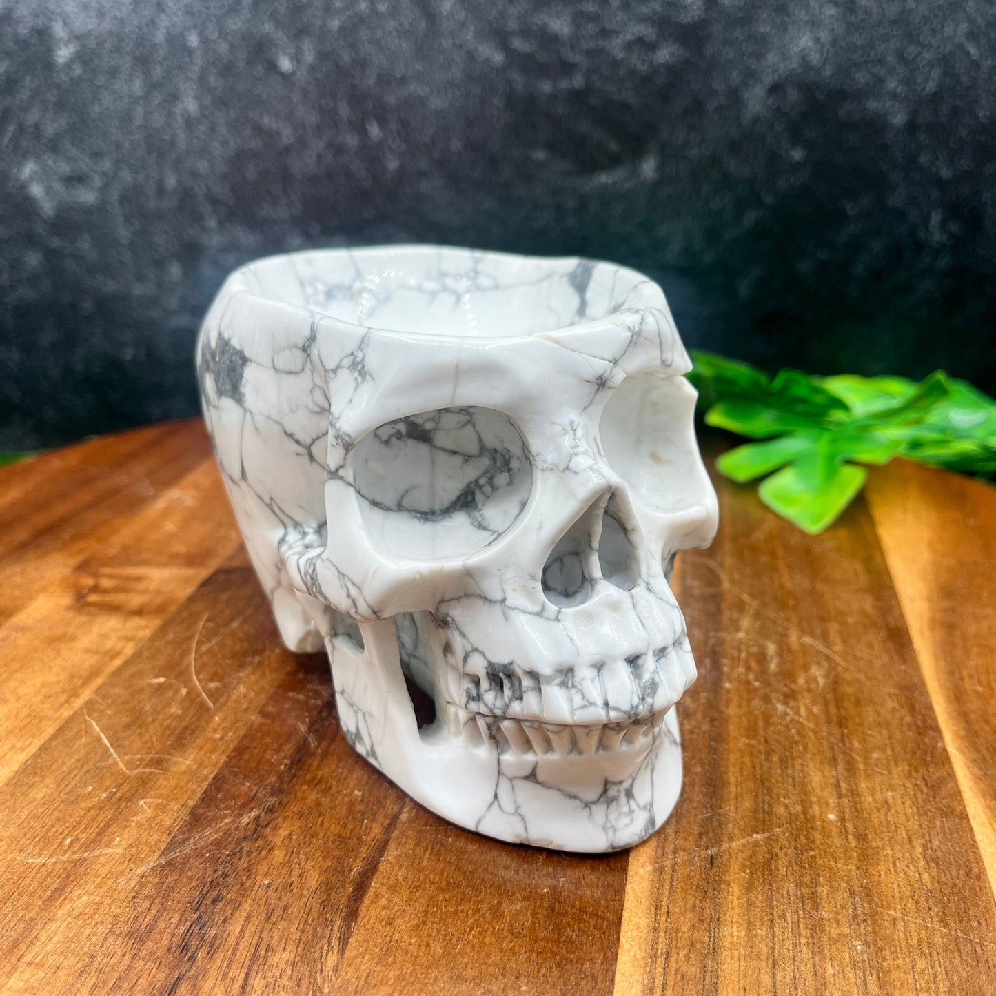 Howlite Skull Bowl - Sage & Magic