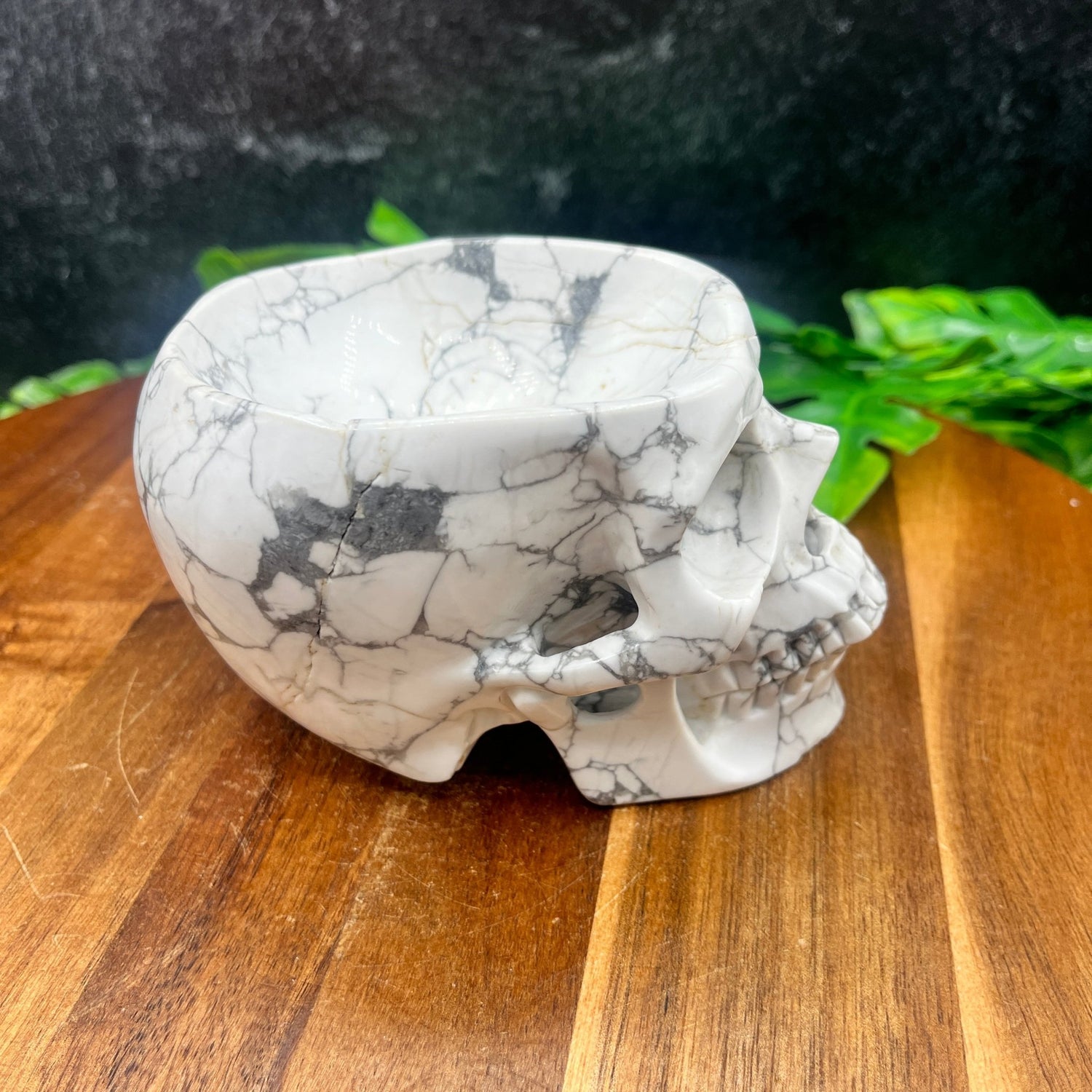 Howlite Skull Bowl - Sage & Magic