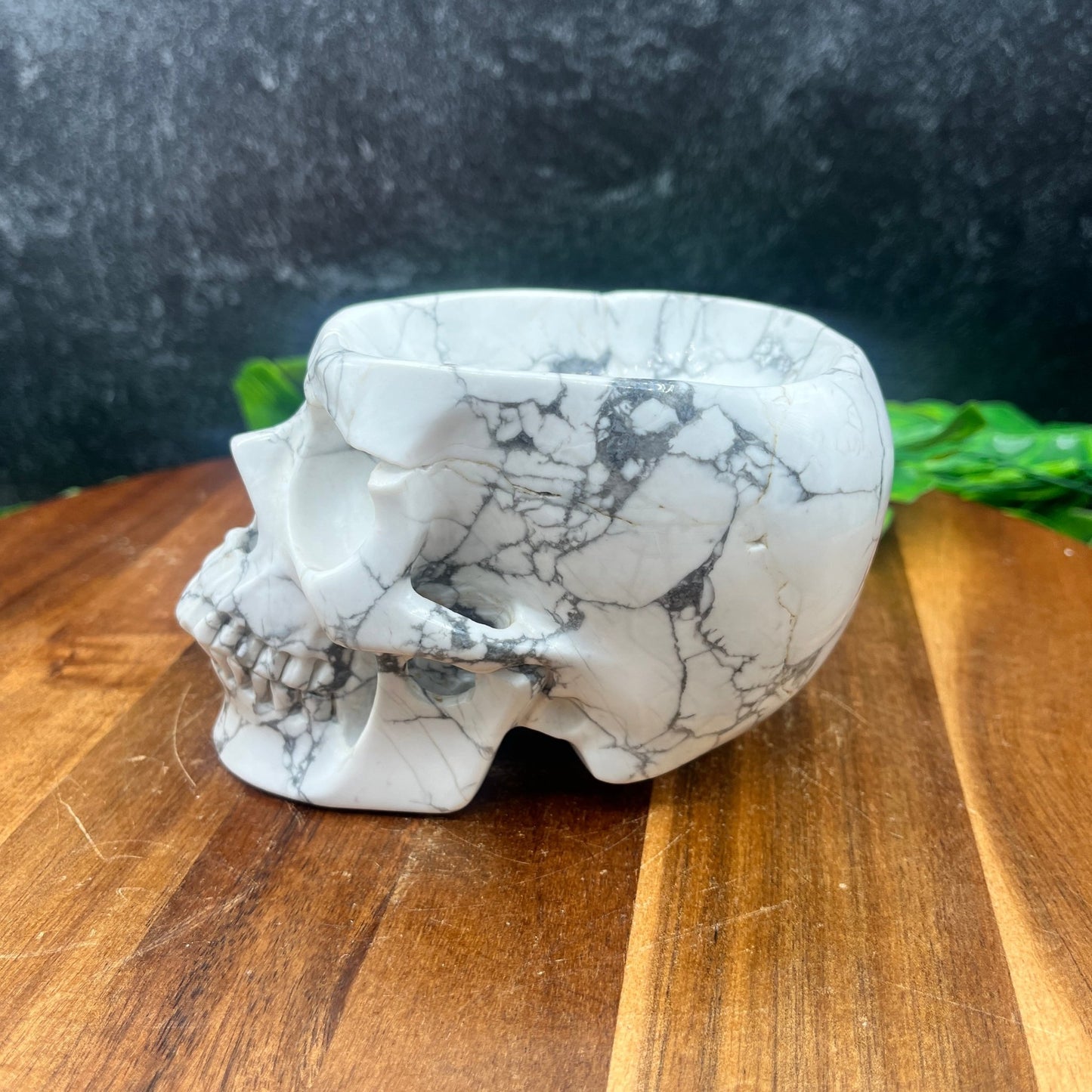 Howlite Skull Bowl - Sage & Magic