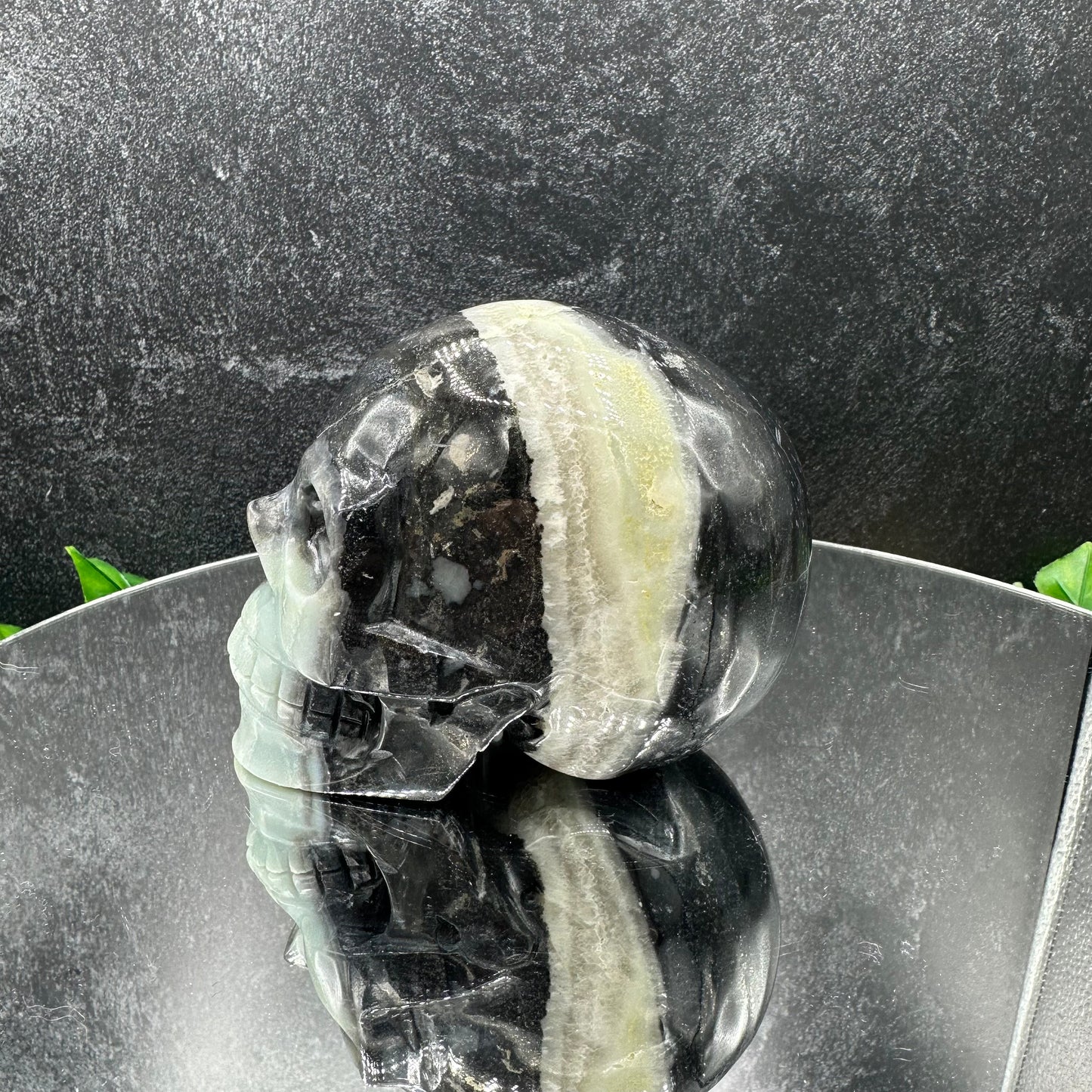 Caribbean Calcite Skull