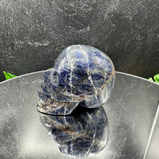 Small Sodalite Skull