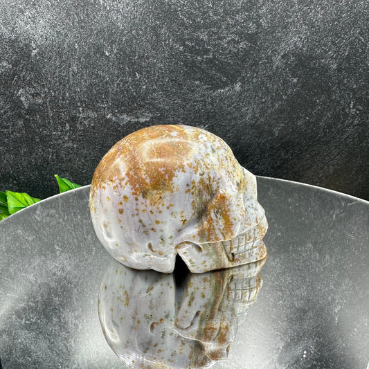 Ocean Jasper Skull