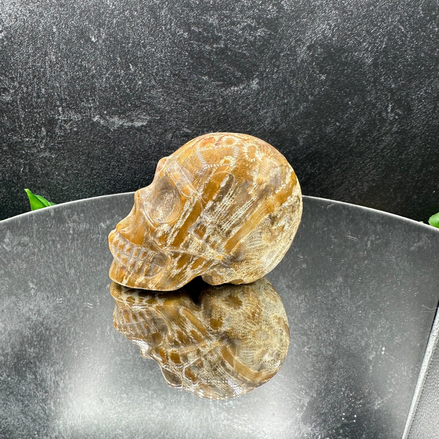 Coral Jasper Skull