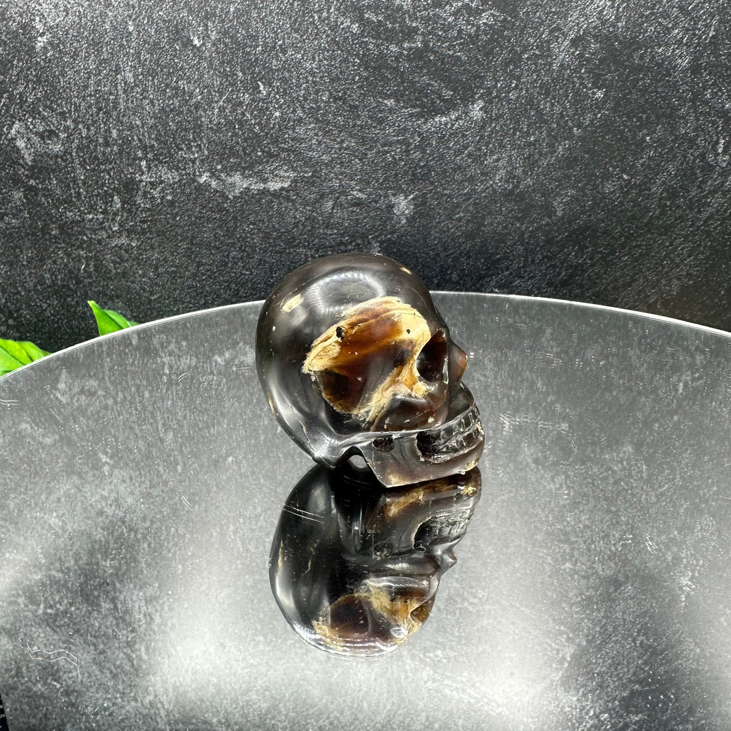 Small Sumatran Amber Skull