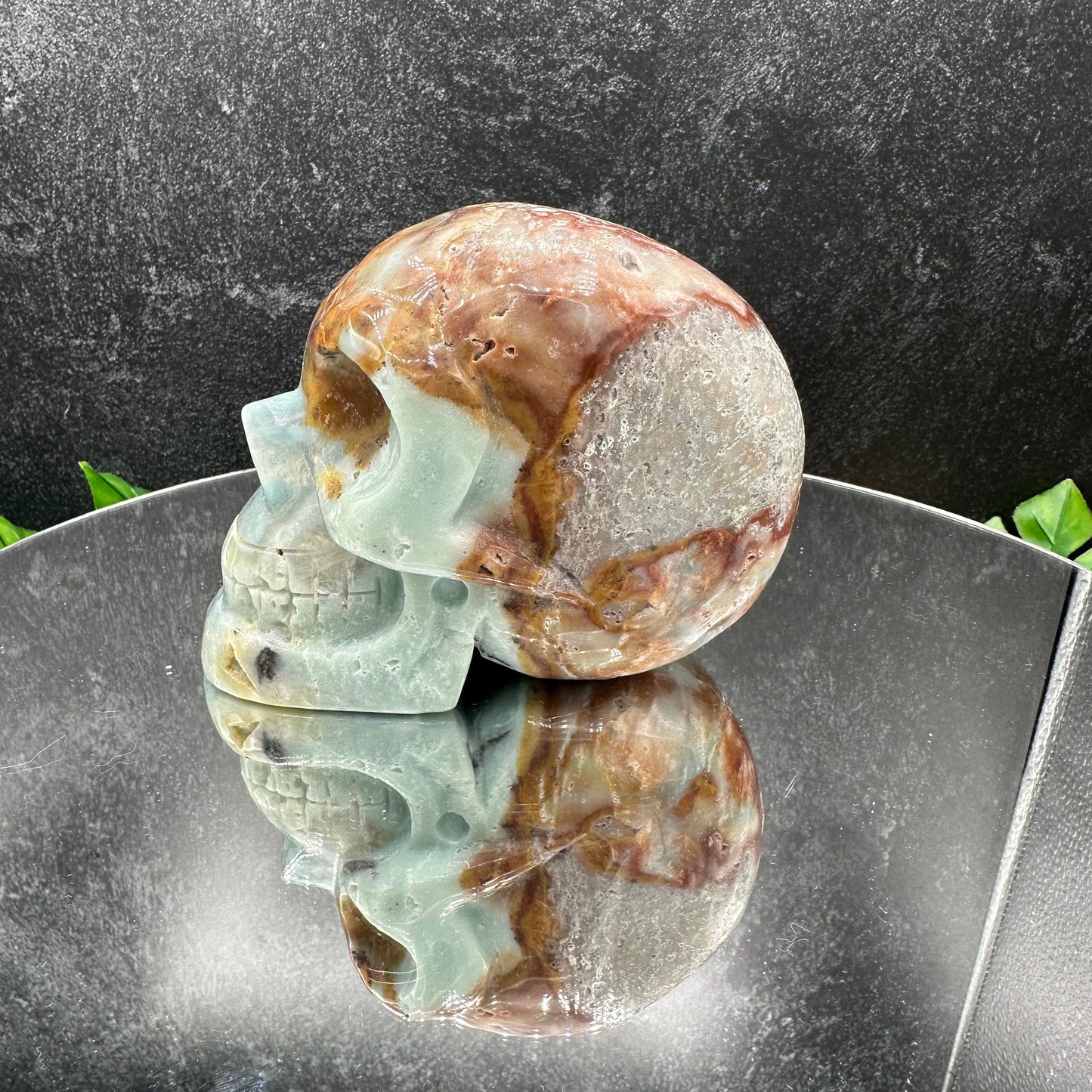 Caribbean Calcite Skull with Pyrite