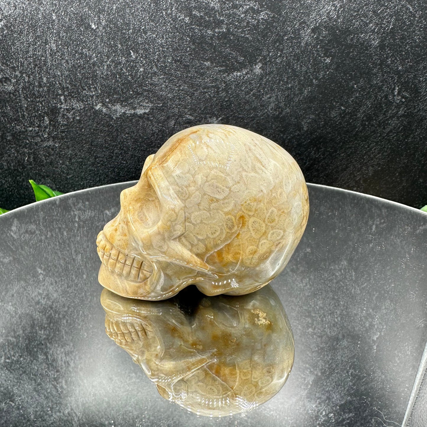 Coral Jasper Skull