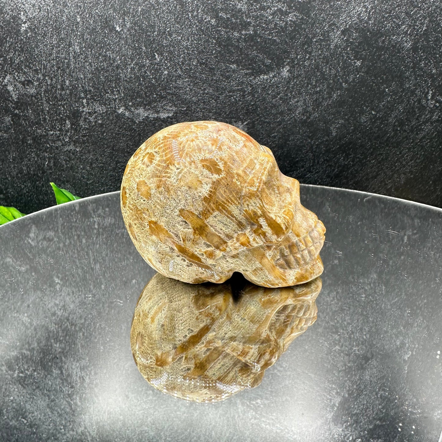 Coral Jasper Skull