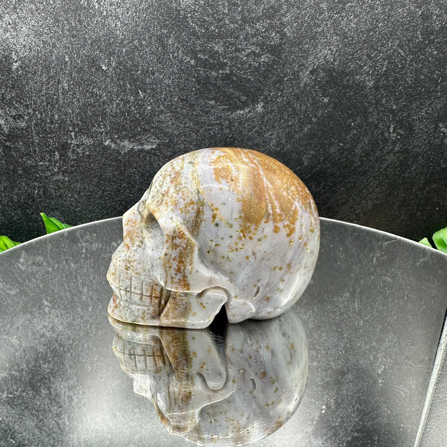 Ocean Jasper Skull