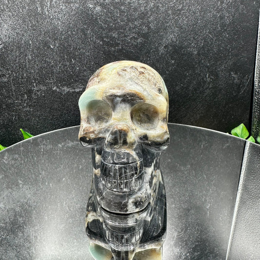 Caribbean Calcite Skull