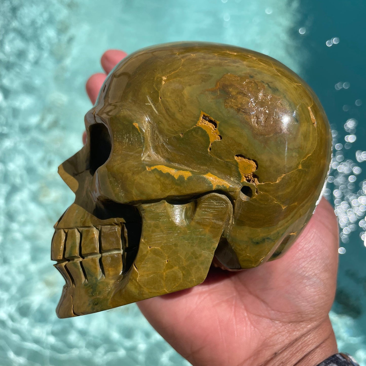 Olive Green Striped Ocean Jasper Skull