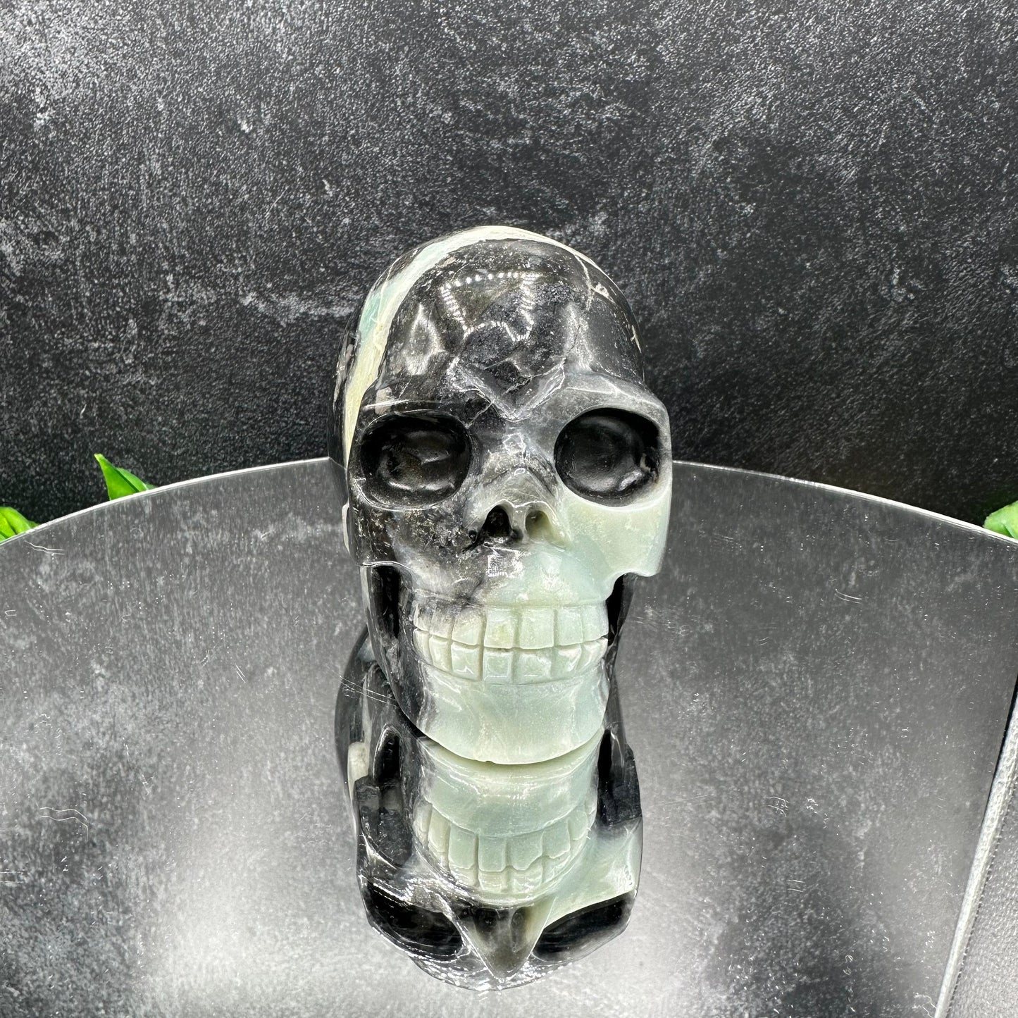 Caribbean Calcite Skull