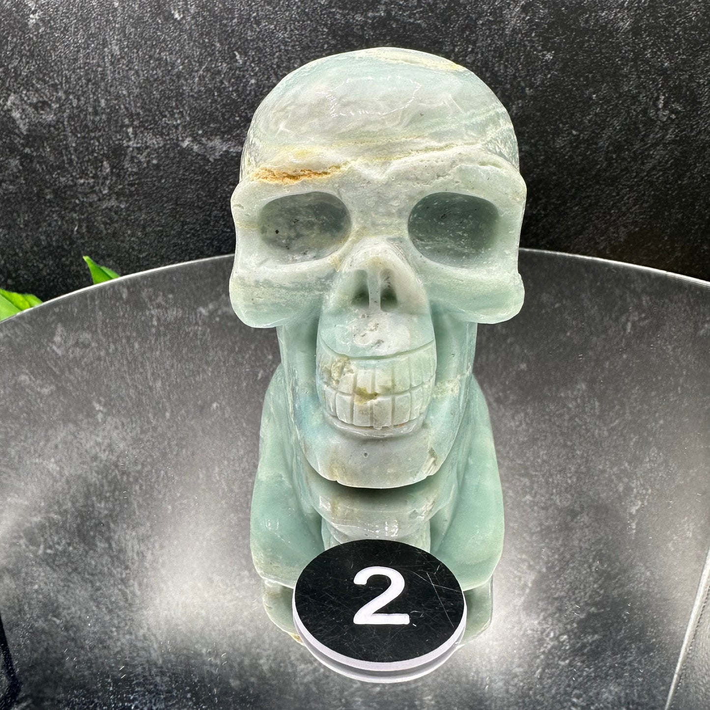 Caribbean Calcite Medium Skull
