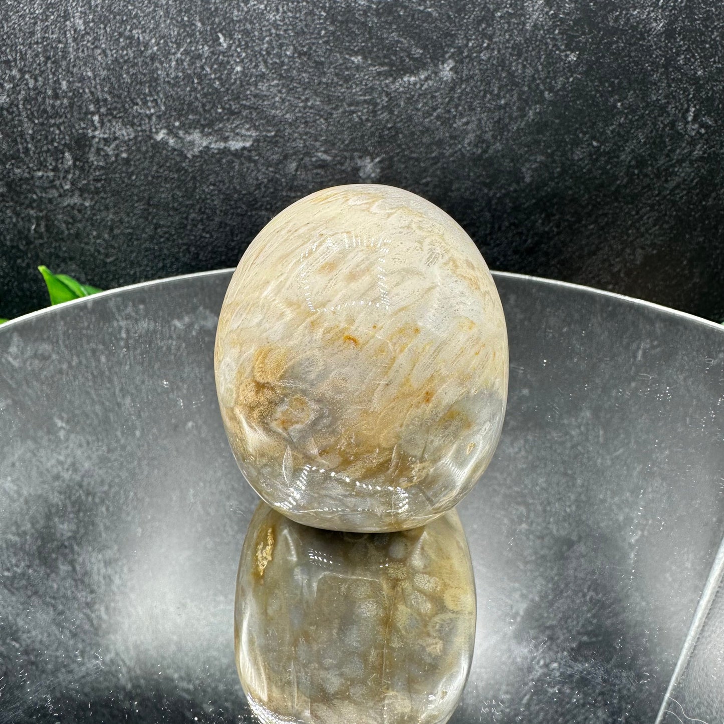 Coral Jasper Skull