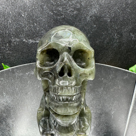 Medium Labradorite Skull