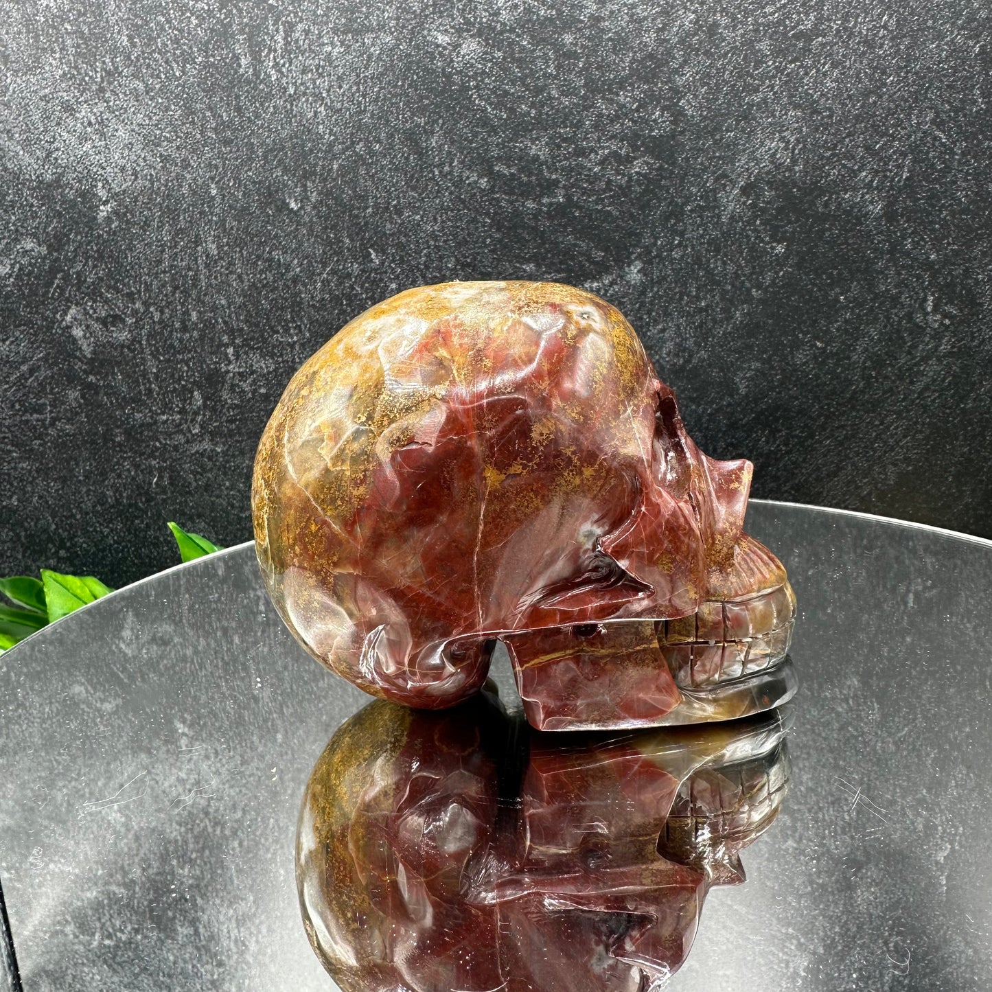 Ocean Jasper Skull