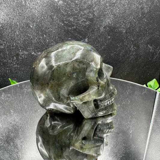 Medium Labradorite Skull