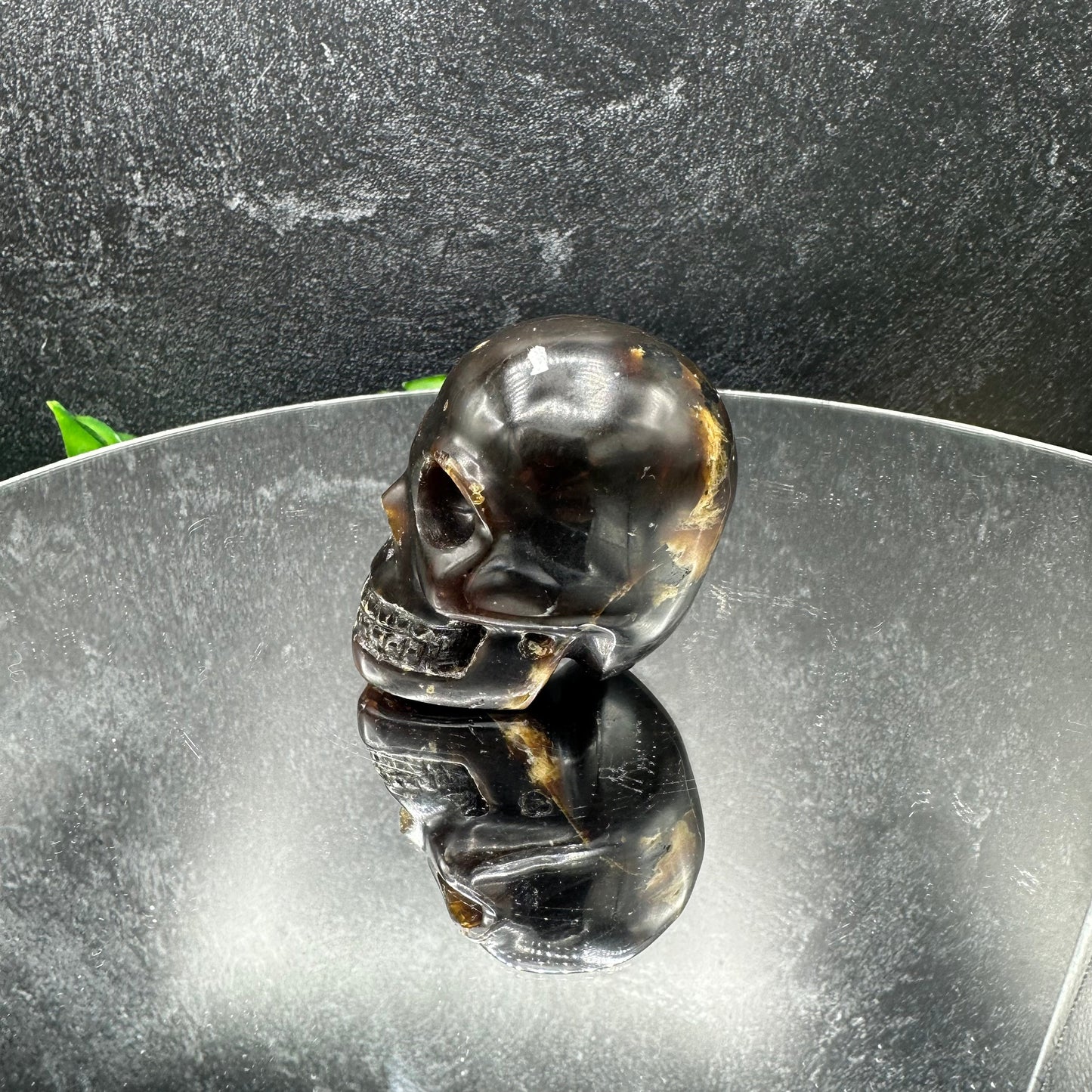 Small Sumatran Amber Skull