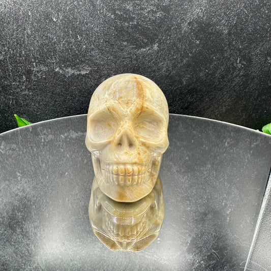 Coral Jasper Skull